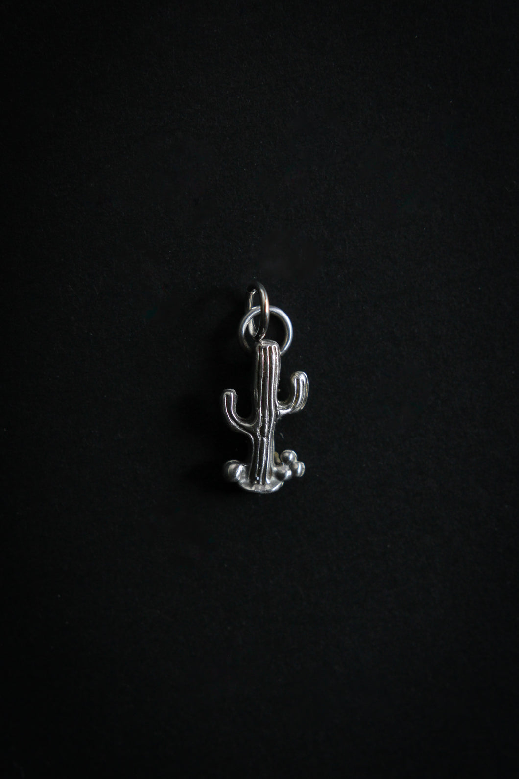 Sterling Silver Cacti Charm
