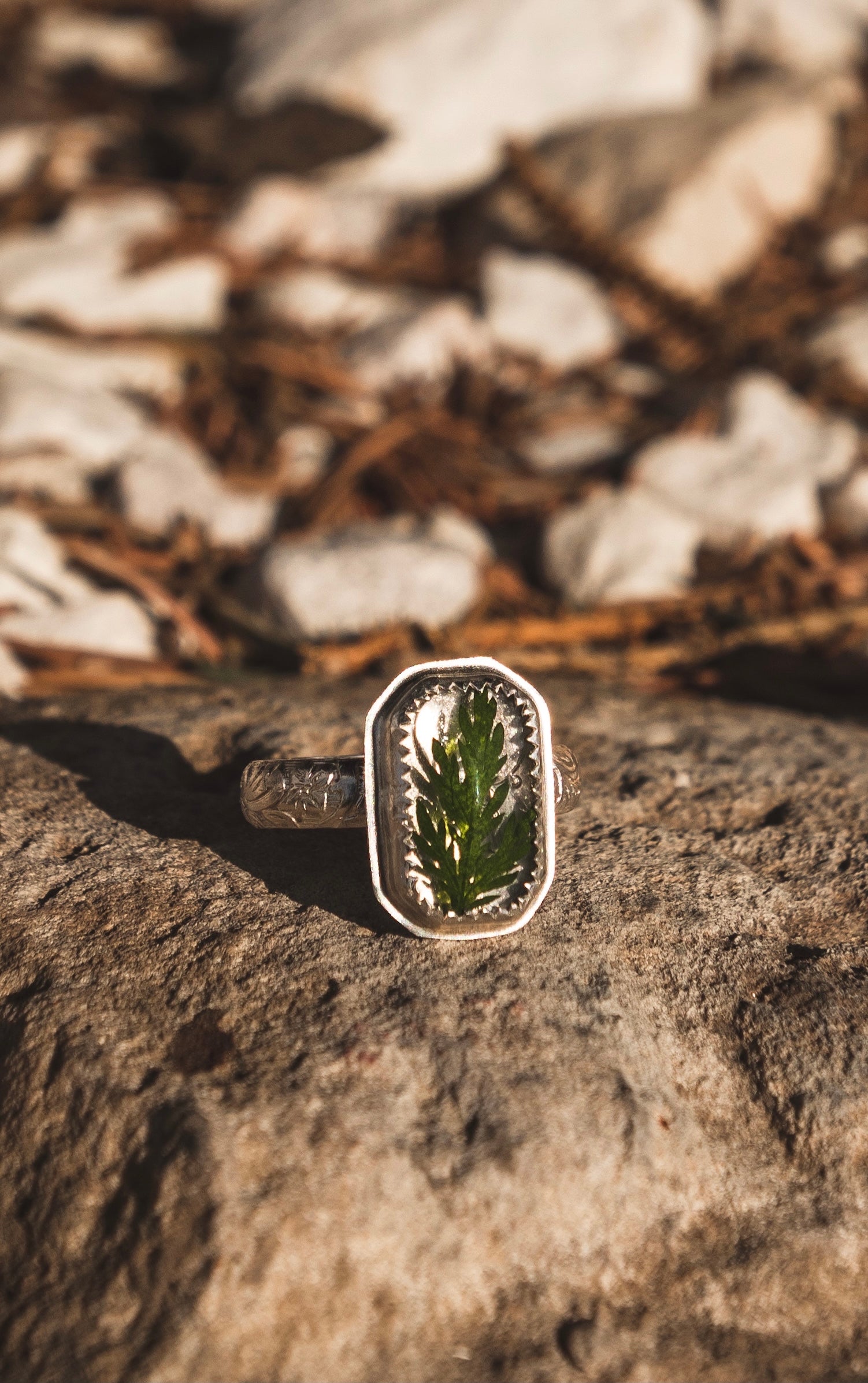 Custom Order Band Upgrades